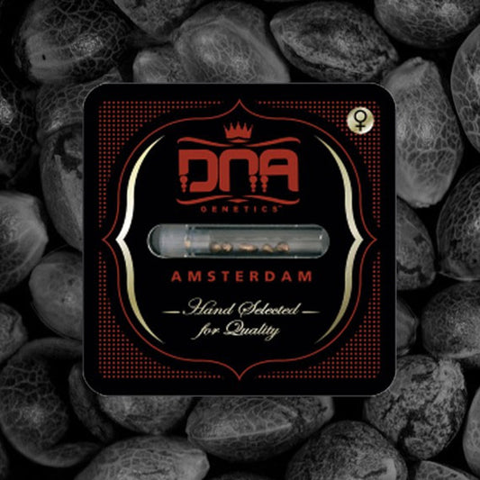 DNA Mix 5 u. fem. DNA Genetics