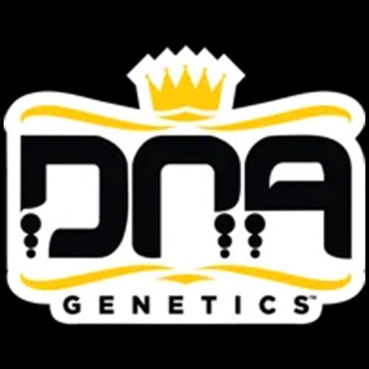 Kosher Prophets 5 u. fem. DNA Genetics