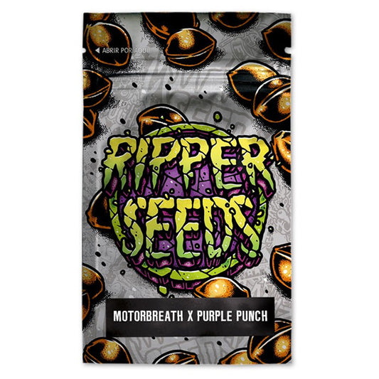 Motorbreath x Purple Punch 3 u. fem. Ed. Lim. Ripper Seeds