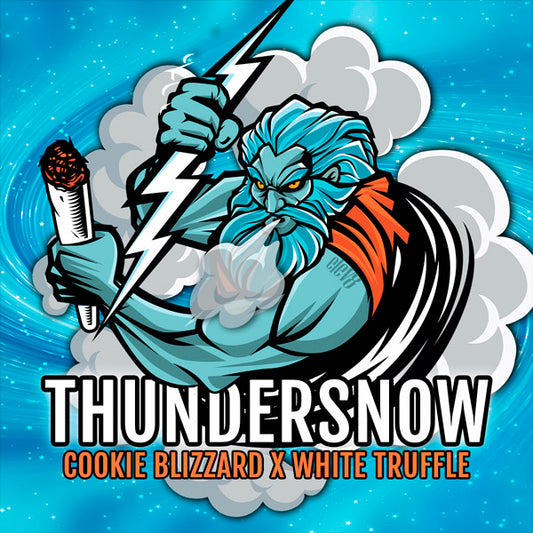 Thundersnow 6 ud. fem Elev8 Seeds