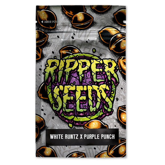 White Runtz x Purple Punch 3 u. fem. Ed. Lim. Ripper Seeds